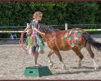1-13JUIN 0848